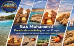 Ras Mohammed : snorkeling en mer Rouge près de Sharm